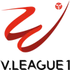 Vietnam National Champion League