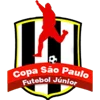 Brazilian Youth Cup