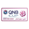 Qatar Amir Cup