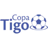 Bolivian Copa LFPB