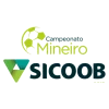 Brazilian Campeonato Mineiro Division 1