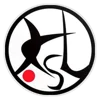 Japanese Satellite League