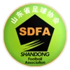 Chinese Weifang Cup