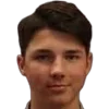 Aldin mesic
