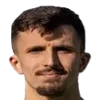 aldin nedzibovic