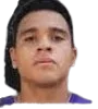 Carlos torres