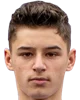 Valentin robu