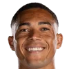 Carlos Vinícius
