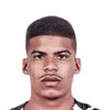 Cesinha