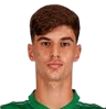 Rodrigo Ribeiro