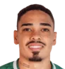 Iago Teles Da Silva