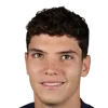 Leonardo Afonso