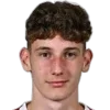 zoran alilovic
