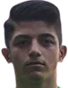 Şahin. Dik