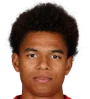 Calvin Stengs