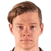 Raiko ilves