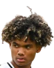 Aaron Malouda