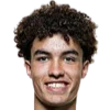 Noah Darvich