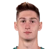 Tomáš Čvančara