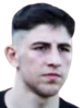 M. Yiğit