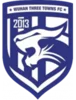 Wuhan Three Towns U19