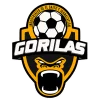 Gorilas de Juanacatlan II