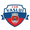 CSM Vaslui