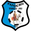 Pandurii Targu Jiu