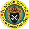 St Asaph City
