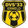 DVS 33 Ermelo