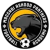 Ashdod Panthers (W)