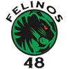 Felinos 48 AC
