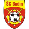 SK Badin