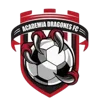 Academia Dragones FC
