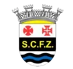 Ferreira Zezere