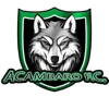 Acambaro FC