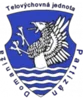 TJ Partizan Domaniza