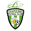 Chapulineros