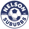 Nelson Suburbs