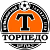 Torpedo Zhodino Reserves