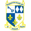 Blaenavon Blues