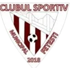 CSM Fetesti